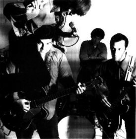 THE WOGGLES